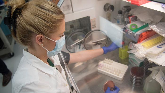 Un nou studiu face lumină asupra legăturii dintre microbiom şi pietrele la rinichi
