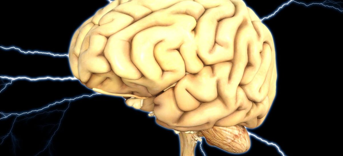 Un studiu recent contrazice teoria actuală conform căreia somnul ajută la eliminarea toxinelor din creier. Ce au descoperit acum oamenii de ştiinţă
