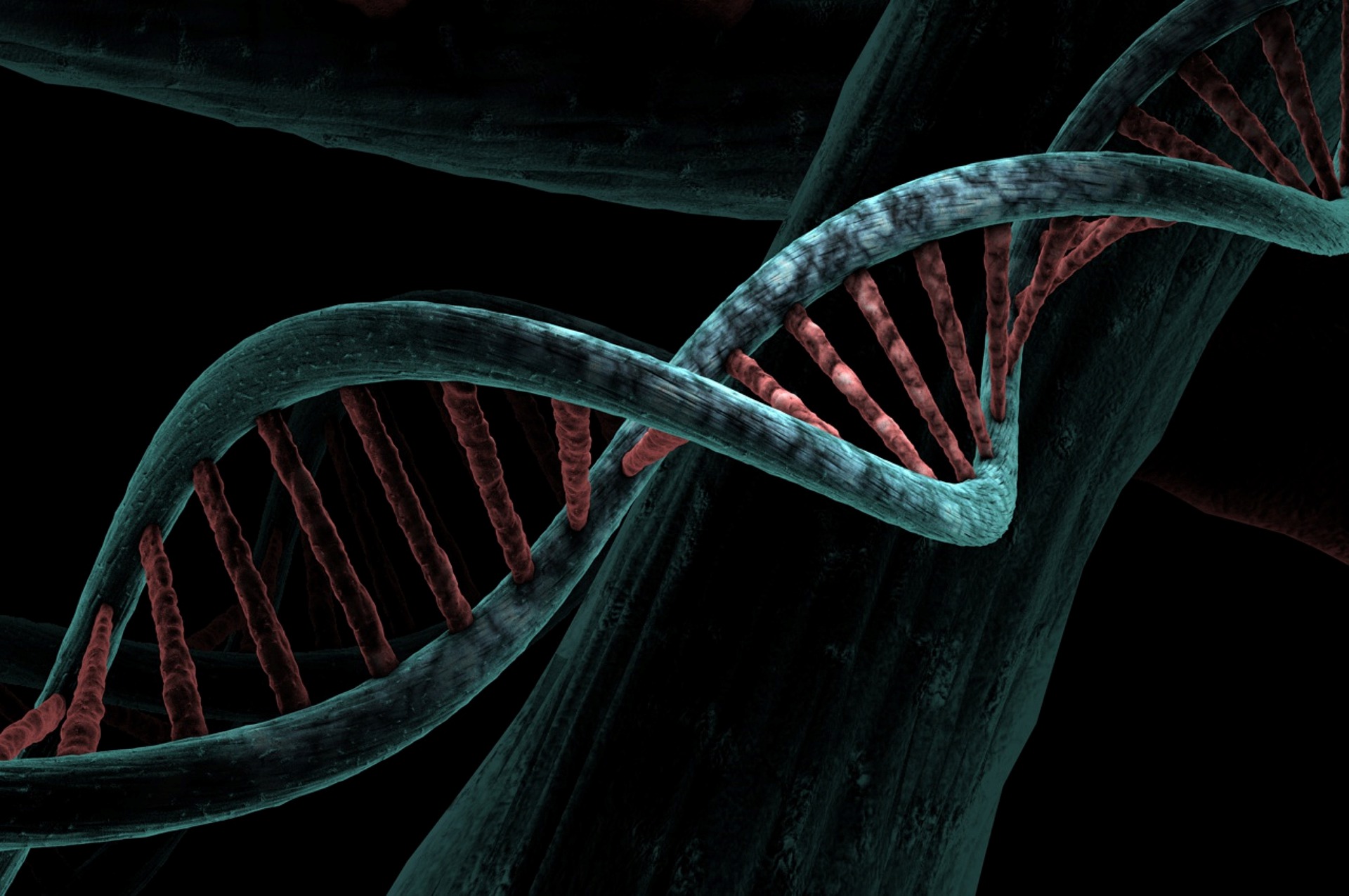 Legătură genetică între tulburarea bipolară şi epilepsie, identificată în cadrul unui studiu de referinţă